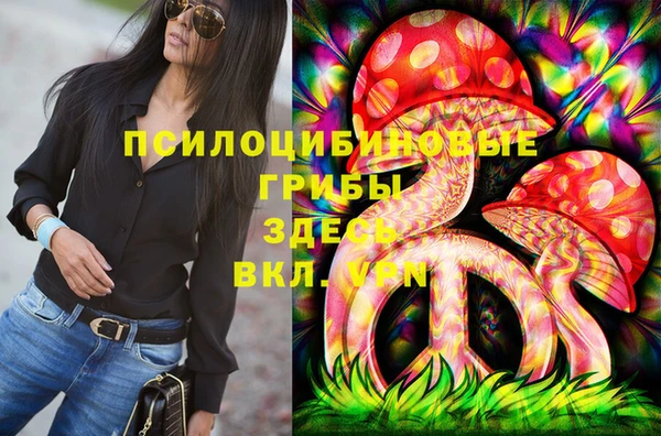 тгк Нязепетровск