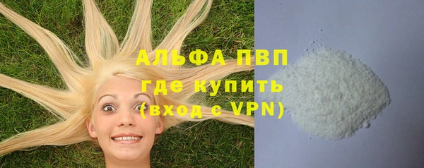 spice Няндома