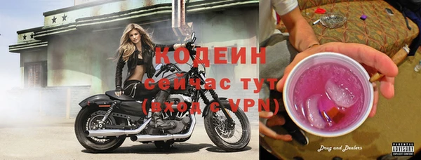 spice Няндома